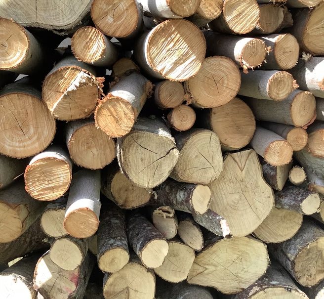 Rondins de bois empilés, coupe nette et cernes visibles
